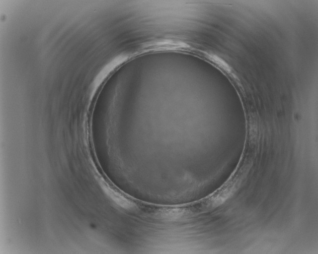 X0000068841474200605051249