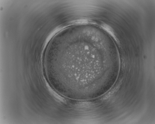 X0000068841475200605051249