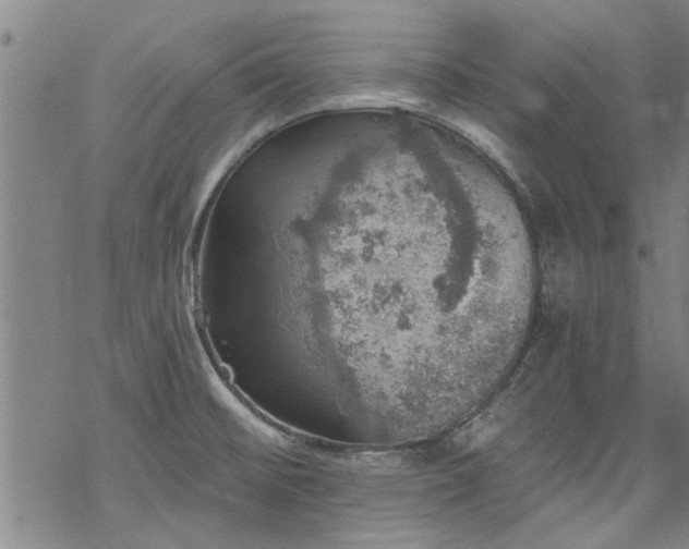 X0000068841476200605051249