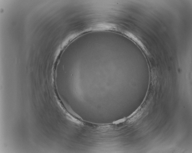 X0000068841477200605051249