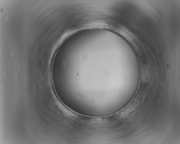 X0000068841478200605051249