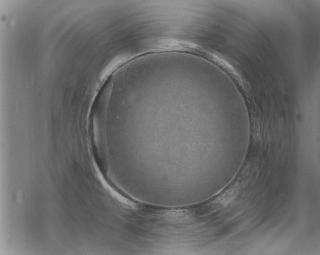 X0000068841479200605051249