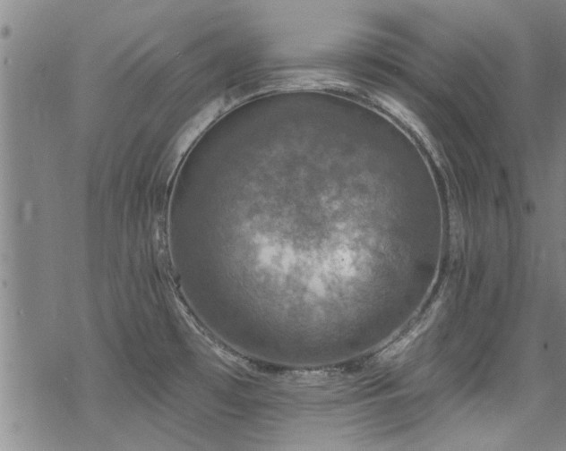 X0000068841481200605051249