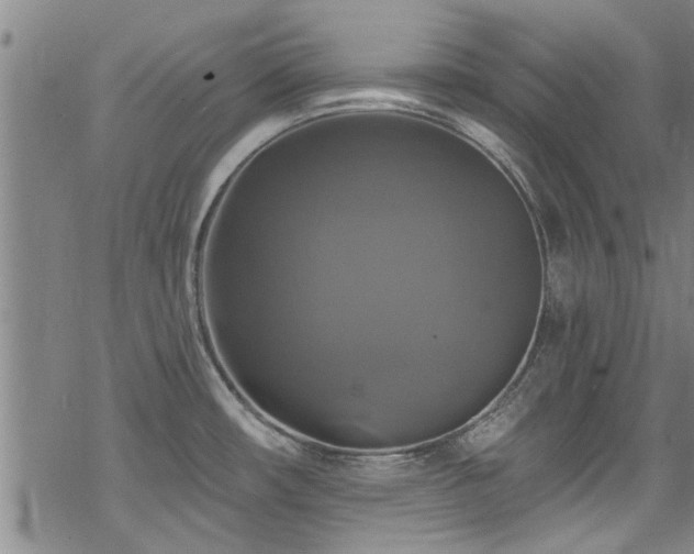 X0000068841482200605051249