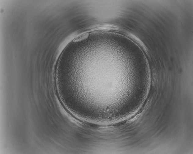 X0000068841483200605051249