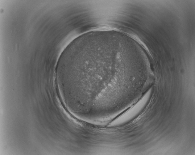 X0000068841484200605051249