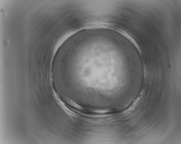 X0000068841485200605051249