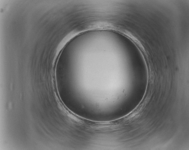 X0000068841486200605051249