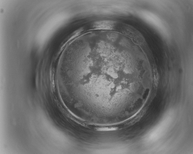 X0000068841487200605051249