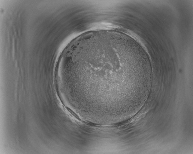 X0000068841488200605051249