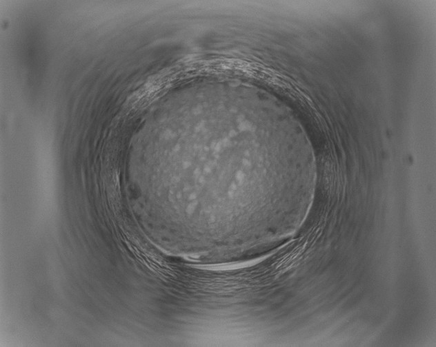 X0000068841489200605051248