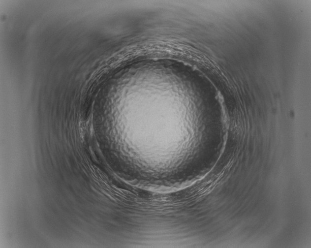 X0000068841490200605051248