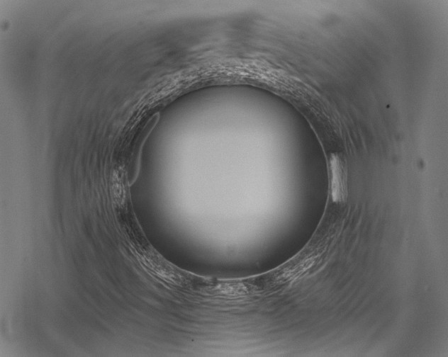 X0000068841491200605051248