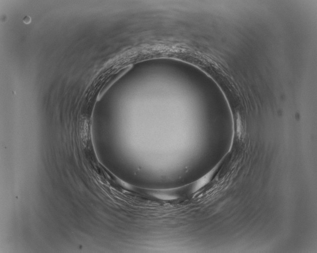 X0000068841492200605051248