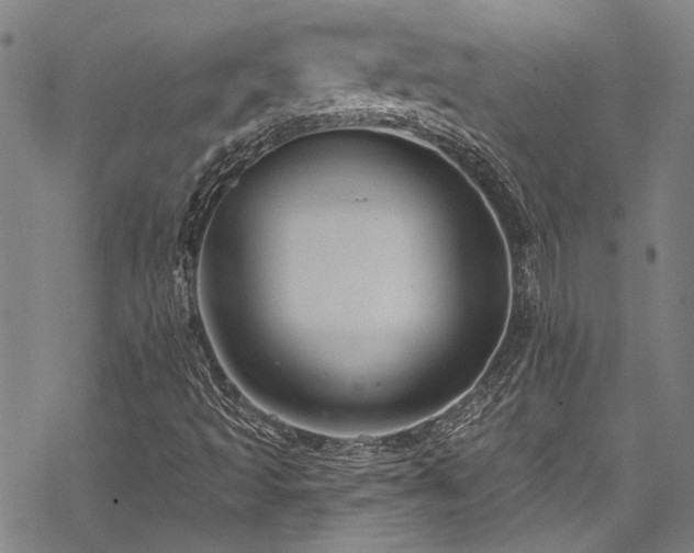 X0000068841493200605051248