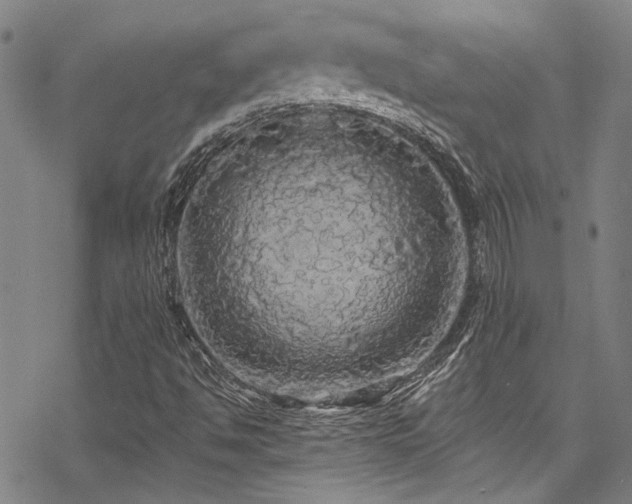 X0000068841494200605051248