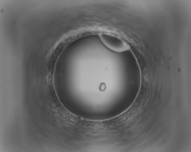 X0000068841495200605051248