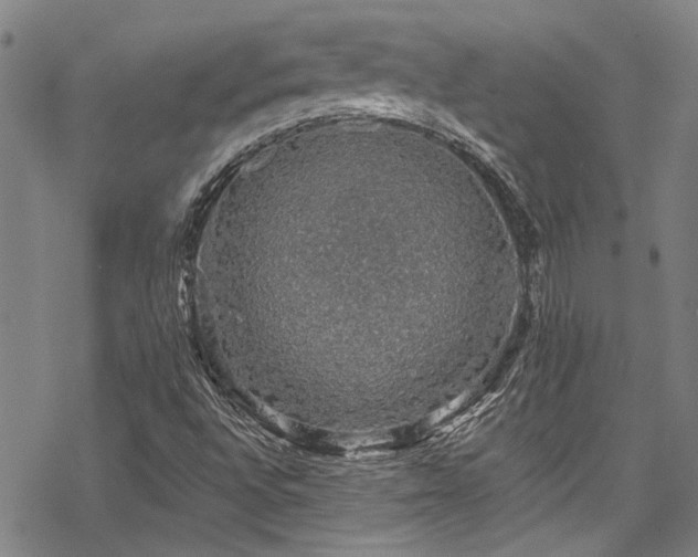 X0000068841496200605051248