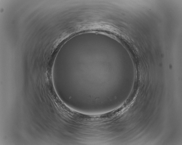 X0000068841497200605051248