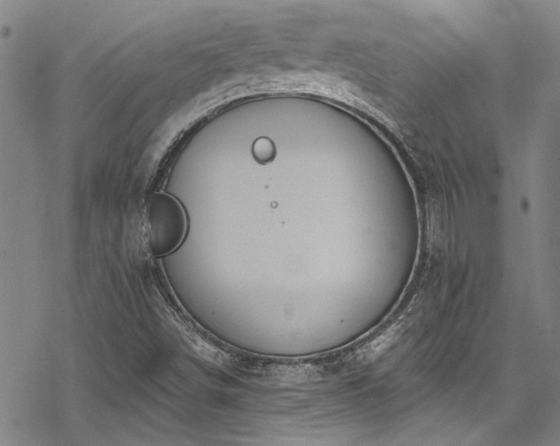 X0000068841498200605051248