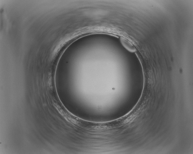 X0000068841499200605051248