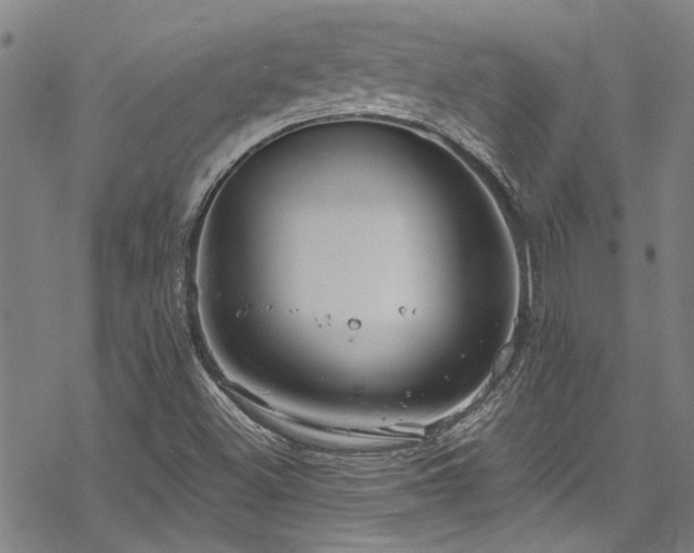 X0000068841500200605051248