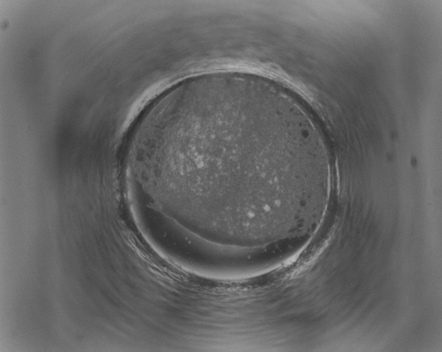 X0000068841501200605051248