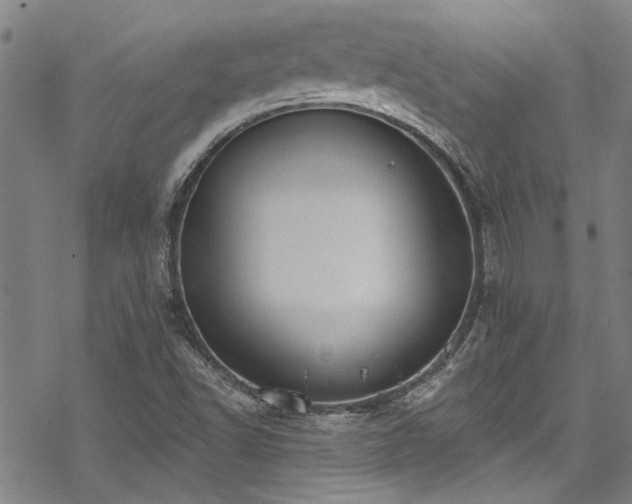 X0000068841502200605051248