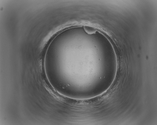 X0000068841503200605051248