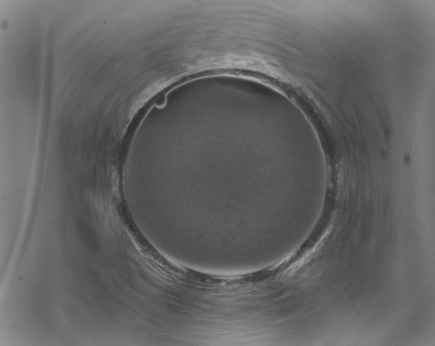 X0000068841505200605051248