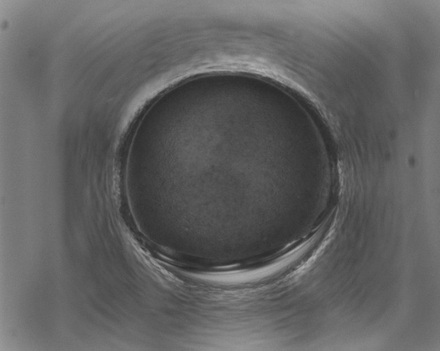 X0000068841506200605051248