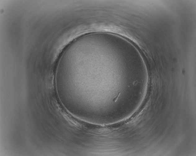 X0000068841507200605051248