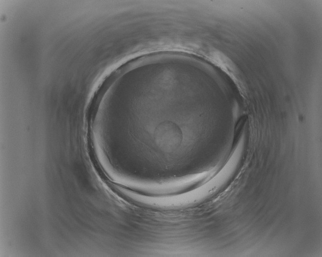 X0000068841508200605051248