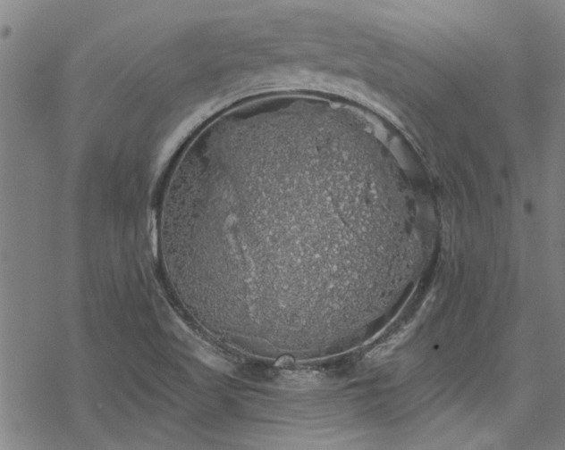 X0000068841509200605051248