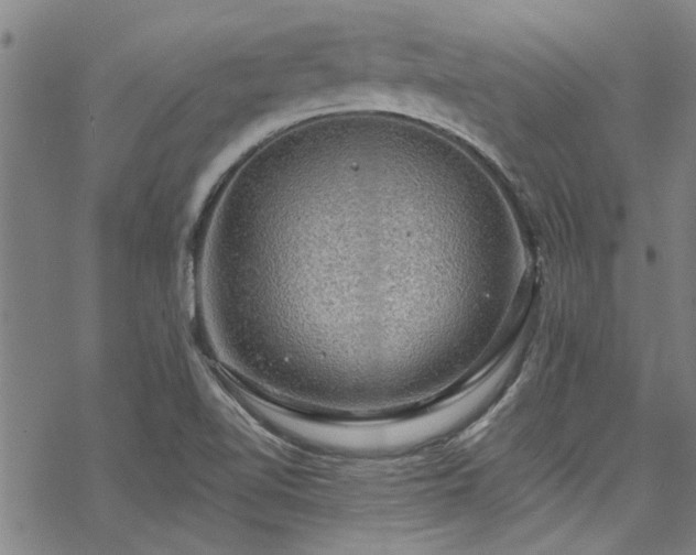 X0000068841510200605051248