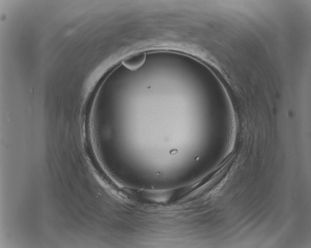 X0000068841511200605051248