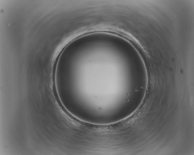 X0000068841512200605051248