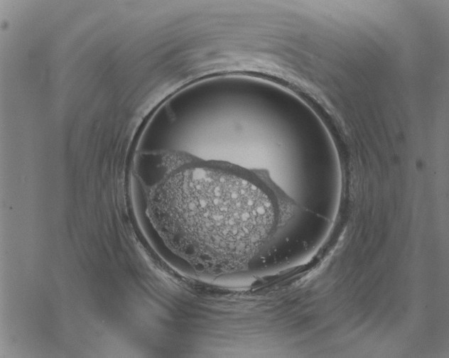 X0000068841513200605051248