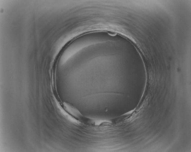 X0000068841515200605051249