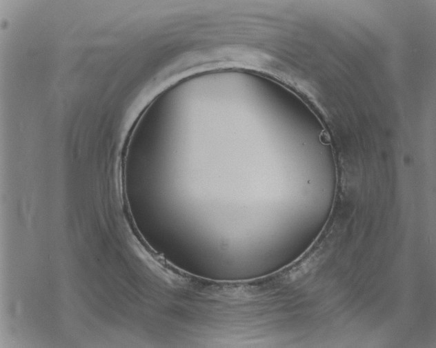 X0000068841516200605051249