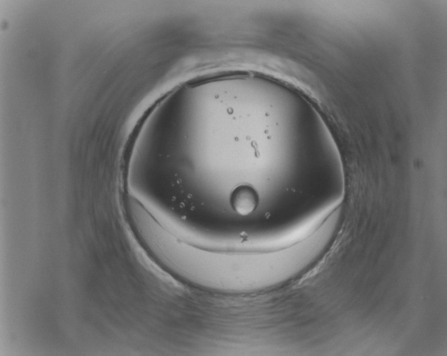 X0000068841518200605051249