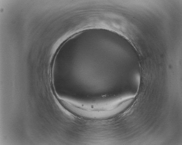 X0000068841519200605051249