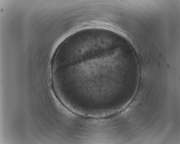 X0000068841522200605051249