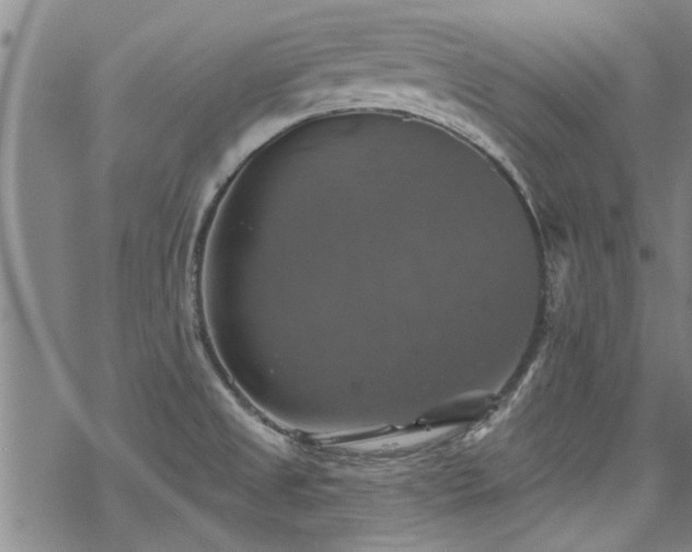 X0000068841525200605051249