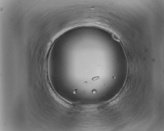 X0000068841526200605051249