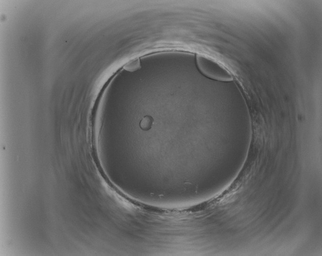 X0000068841527200605051249