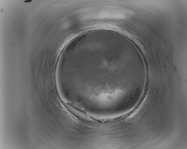 X0000068841529200605051249