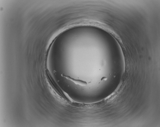 X0000068841530200605051249