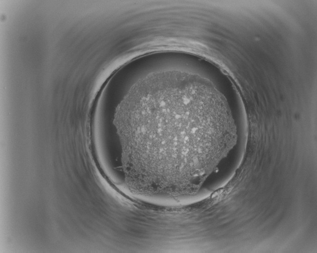 X0000068841531200605051249