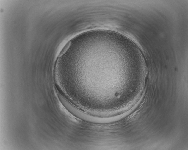 X0000068841532200605051249